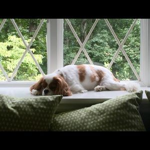 Meet your Posher, Marnie